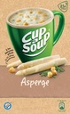 CUP A SOUP ASPERGE CROUT DS21
