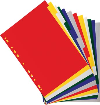 EXACOM TABBLADEN A4 PP 12T ASS