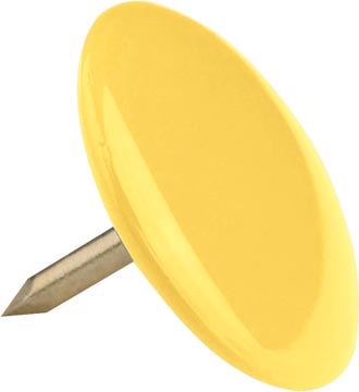 DS 100 PUNAISES GEASS. KLEUR