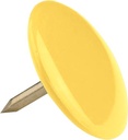 DS 100 PUNAISES GEASS. KLEUR