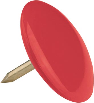 DS 100 PUNAISES GEASS. KLEUR