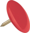 DS 100 PUNAISES GEASS. KLEUR