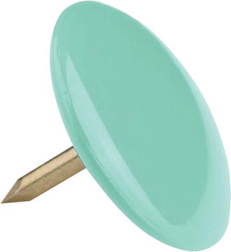 DS 100 PUNAISES GEASS. KLEUR