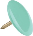DS 100 PUNAISES GEASS. KLEUR