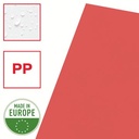 L-MAP COPY SAFE A4 100X ROOD