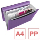 ESSELTE VOORORDNER A4 6VAK PA