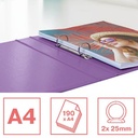E.RINGBAND COLOURBRE A4 2R LAVENDEL