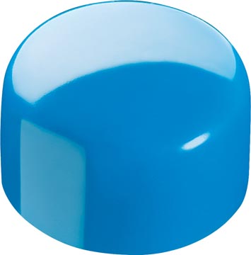 BL.8 KLEURMAGNETEN 10MM MAPED