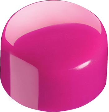 BL.8 KLEURMAGNETEN 10MM MAPED