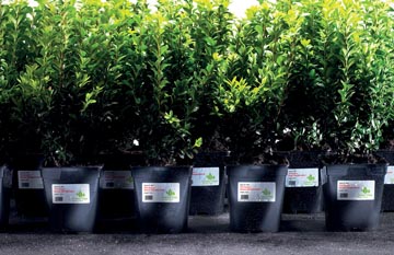 ZWECK WEERVASTE ETIKETTEN LASER (A4)