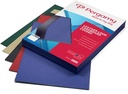 PERGAMY OMSLAG LL 250M 100X IV