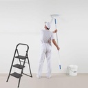 TRAPLADDER SL300 3TR ZWART