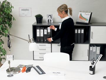 POCHET PUT-IN-LABEL (55X102MM, 6)