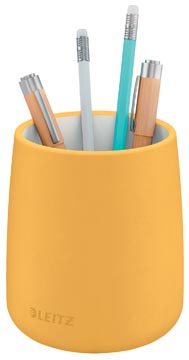 LEITZ COSY PENNENBAK GL