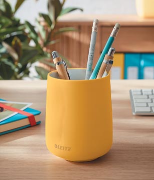 LEITZ COSY PENNENBAK GL