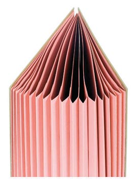 VLOEIBOEK FOREVER 20TABS KRAFT