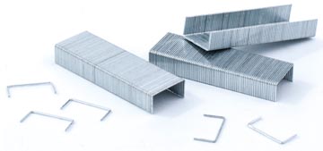 PAVO NIETJES 23/24 DS1000