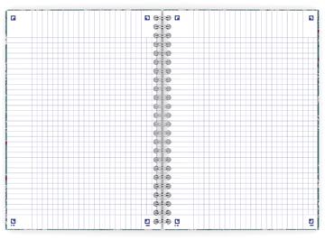FLORAL SCHRIFT B5 Q 60V TURK