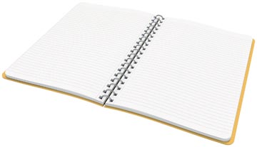 COSY NOTITIEB SPIR B5 L GL