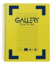 SPIRAALSCHRIFT GALLERY A5 160BLZ GELIJND