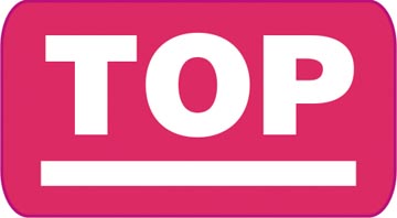 AGENDA BREPOLS SATURNUS LIMA 1DAG/1PAG ASSORT