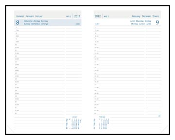 AG DAILY 32 FLORENCE ZW 2025