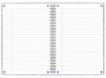 FLORAL SCHRIFT B5 L 60V TURK