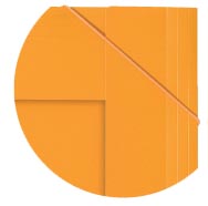 OXFORD ORGANISERBOOK INT.160BL