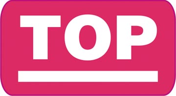 AGENDA BREPOLS INTERPLAN LIMA ZWART