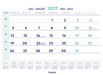 MAANDKALENDERS WIRE-O