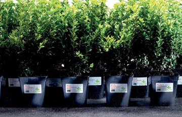 ZWECK WEERVASTE ETIKETTEN LASER (99.1X139MM)