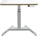 LEITZ ZITSTA BUREAU KLEIN VOET