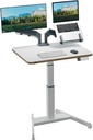 LEITZ ZITSTA BUREAU KLEIN VOET