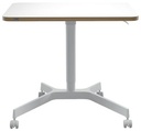 LEITZ ZITSTA BUREAU KLEIN MOB
