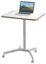 LEITZ ZITSTA BUREAU KLEIN MOB
