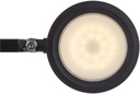 Bureaulamp LED MAULgrace, colour vario, dimbaar, zwart