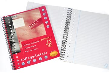 COLLEGEDICTAAT 17R 80 VEL LIJN