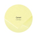 DUBBELE KAARTEN 25 STUKS (110X155MM, GEEL)