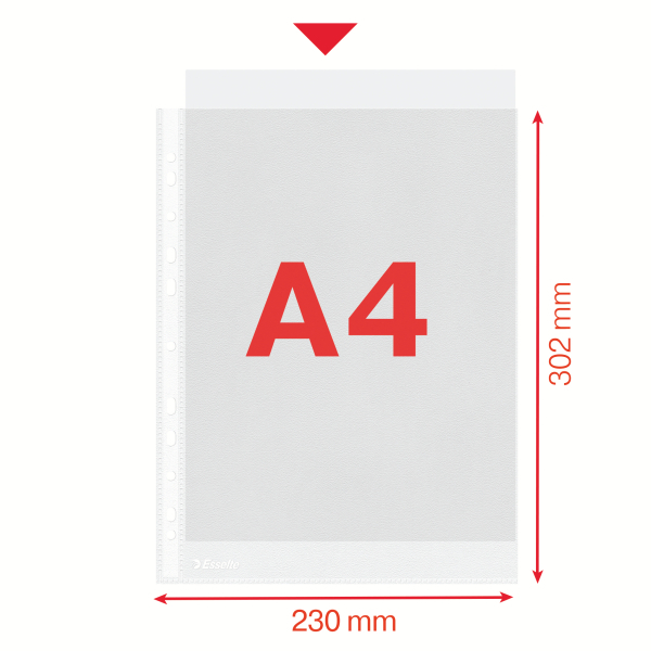 ZK.100TAS PP GESTR.A4,ALG.PERF.30�