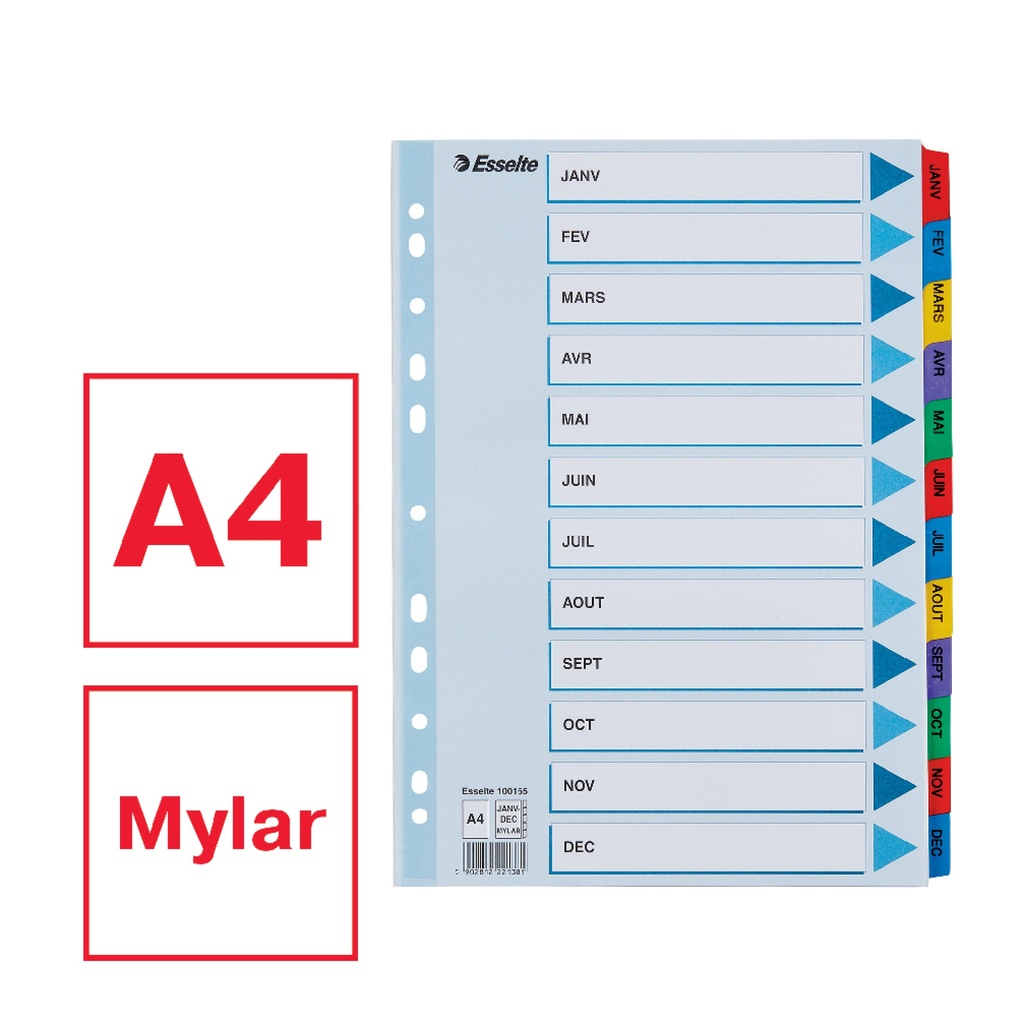 INDEX LUXE MYLAR PLUS A4 JAN-DEC