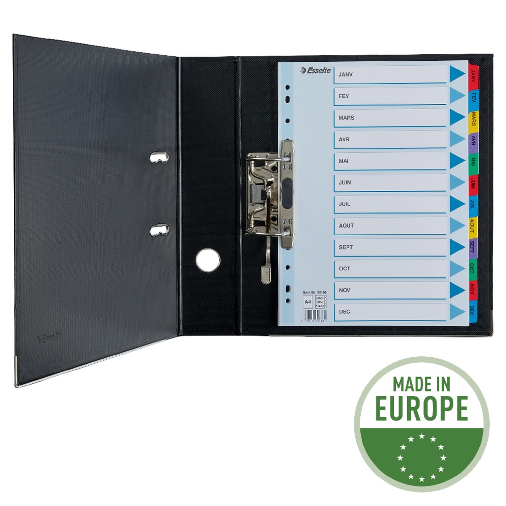 INDEX LUXE MYLAR PLUS A4 JAN-DEC