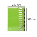 SORTEERMAP A4 12 BLAD (GROEN PLASTIC)