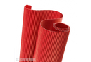 GOLFKARTON CANSON 50X70 314GR (ROOD)