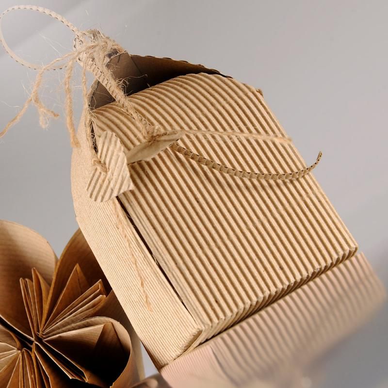 GOLFKARTON CANSON 50X70 314GR (ROOD)