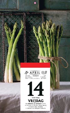 DE DRUIVELAAR RUGSCHILD