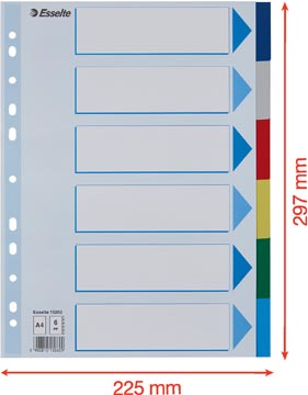 VERDEELKAARTEN KUNSTSTOF A4 (6)
