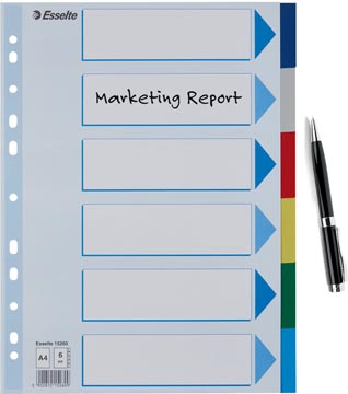 VERDEELKAARTEN KUNSTSTOF A4 (6)