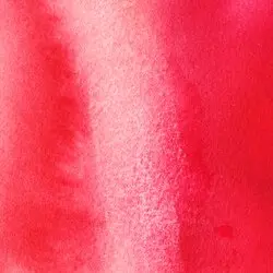 884955017852-W&N WATERCOLOUR MEDIUM LIFTING PREPERATION [SWATCH] (For screen).webp