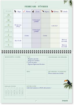 Familieplanner Kalender Weekoverzicht