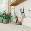 Niettang Rapid K1 26/6